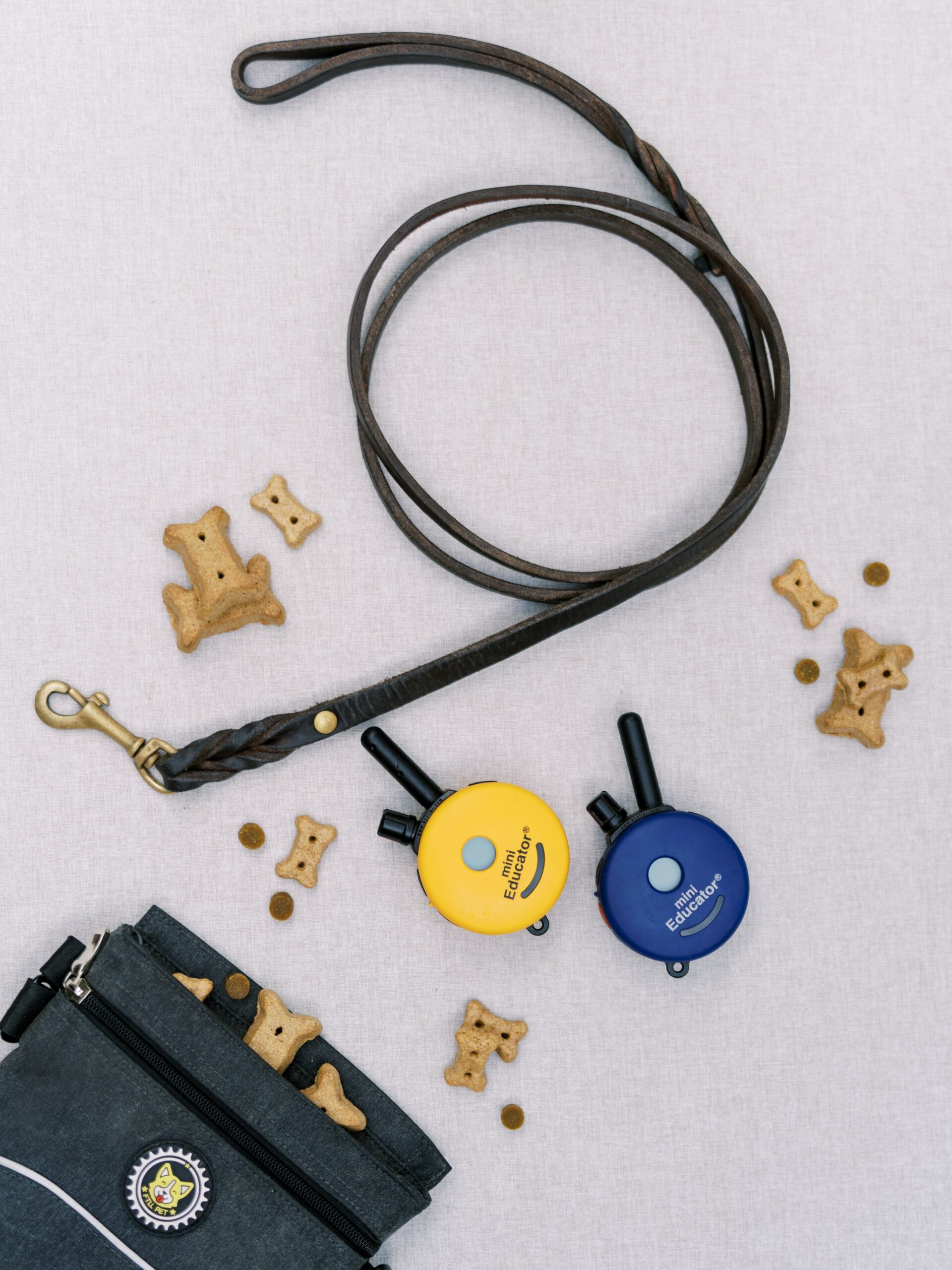 The Educator E-Collar